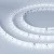 46c29725b2e1a8e275701cc17ca1cc29 46c29725b2e1a8e275701cc17ca1cc29