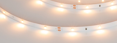 bb1a55ef8cc55a2f0506f3524123e166